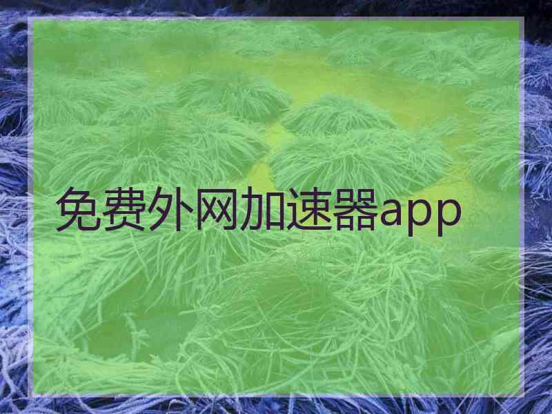 免费外网加速器app