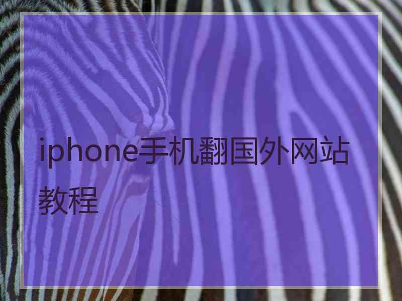 iphone手机翻国外网站教程