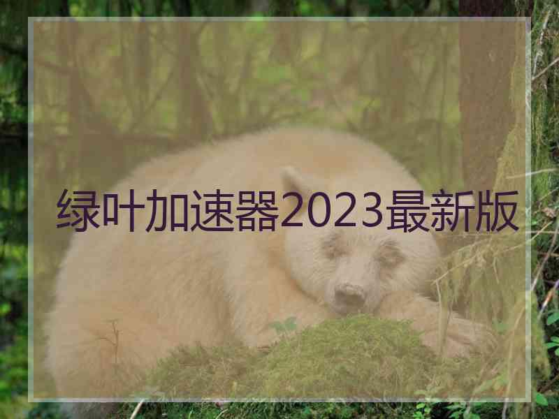 绿叶加速器2023最新版