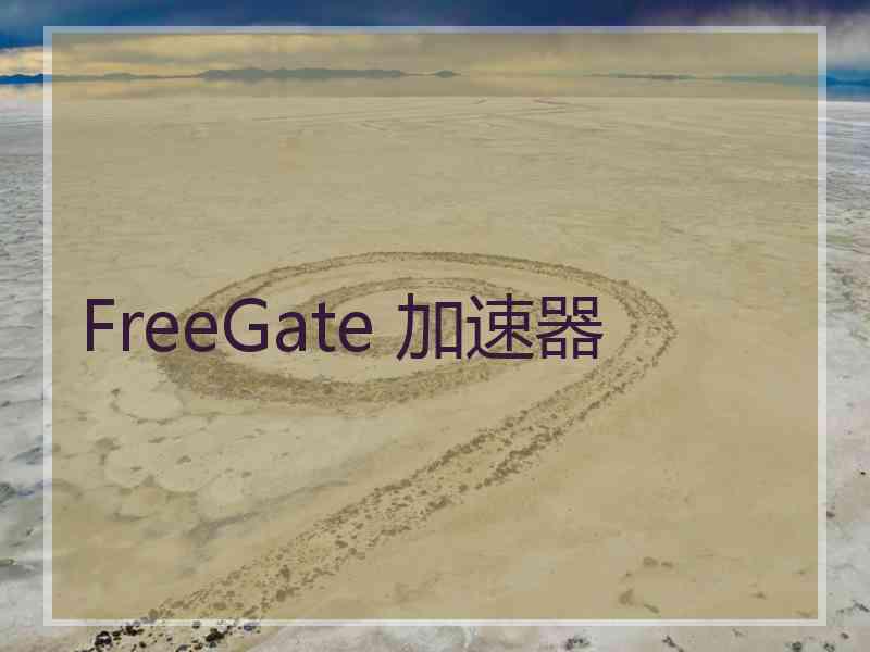 FreeGate 加速器