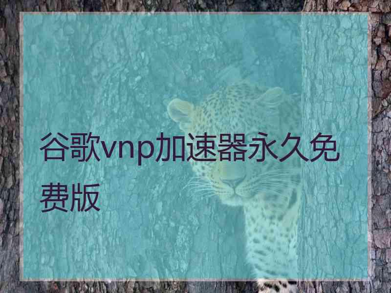 谷歌vnp加速器永久免费版