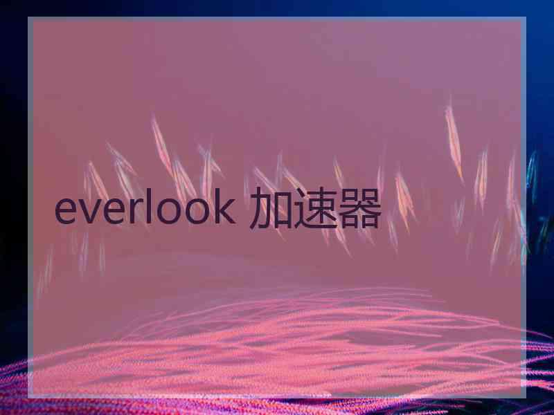 everlook 加速器