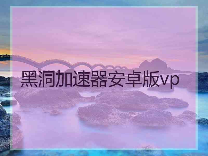 黑洞加速器安卓版vp