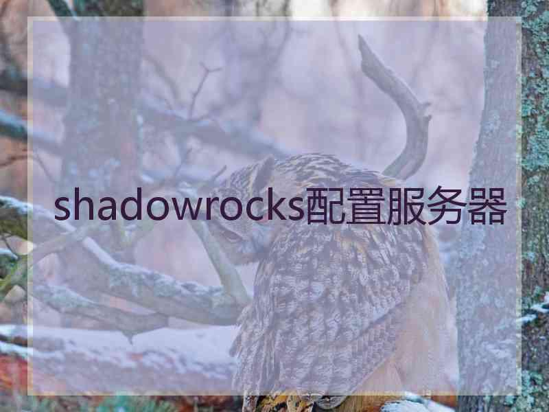 shadowrocks配置服务器