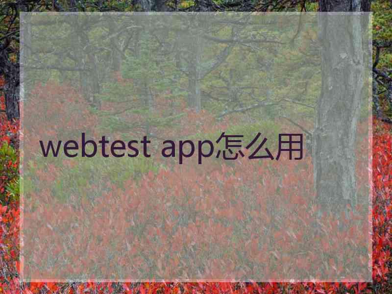 webtest app怎么用