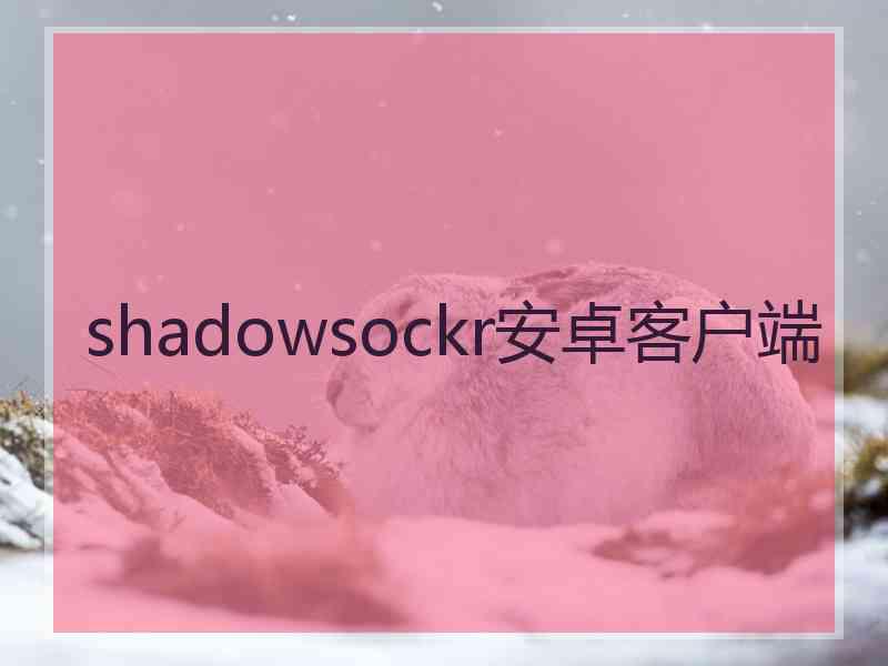 shadowsockr安卓客户端