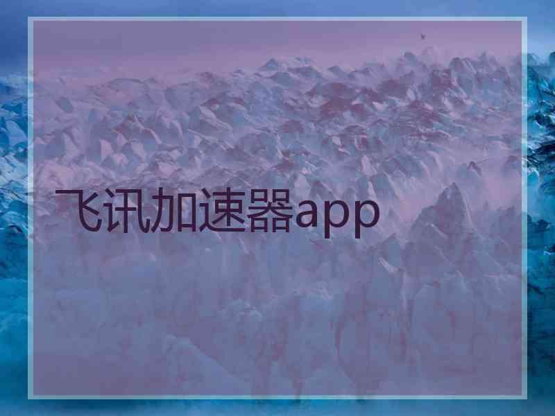 飞讯加速器app