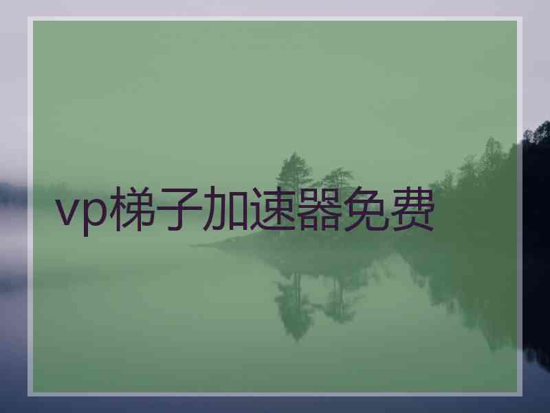 vp梯子加速器免费