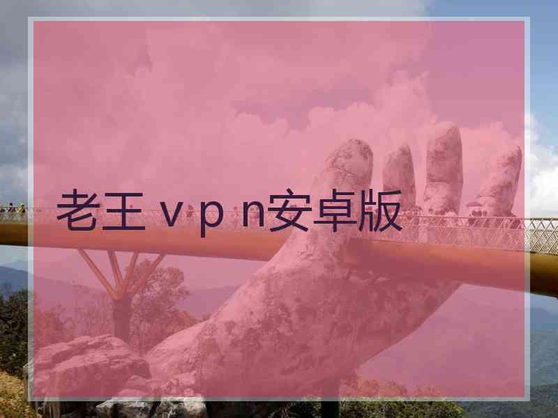 老王 v p n安卓版