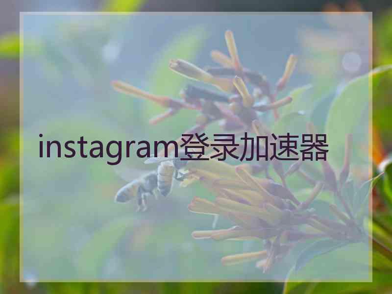 instagram登录加速器