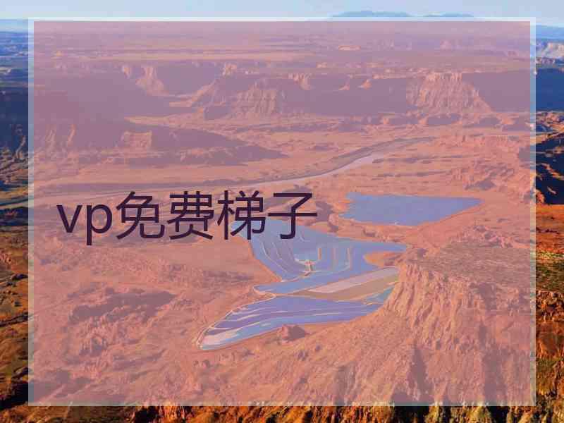 vp免费梯子