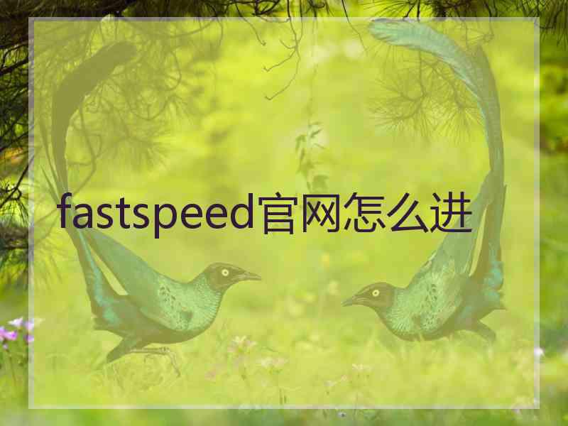 fastspeed官网怎么进