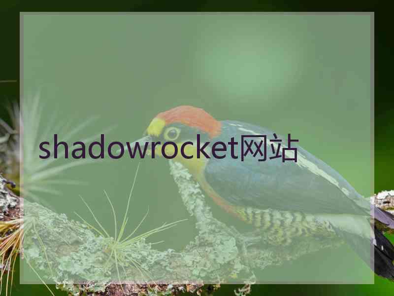 shadowrocket网站