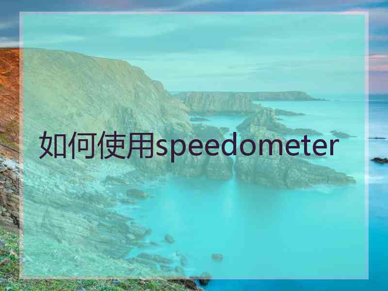 如何使用speedometer