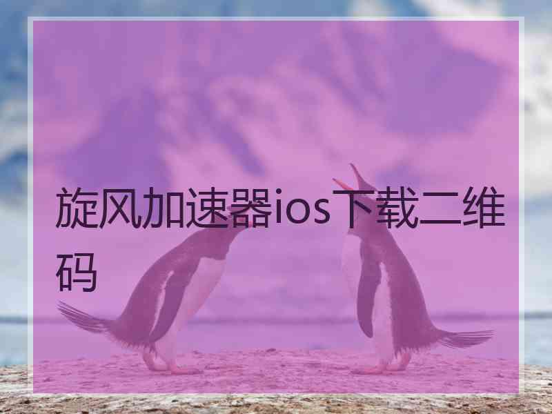 旋风加速器ios下载二维码