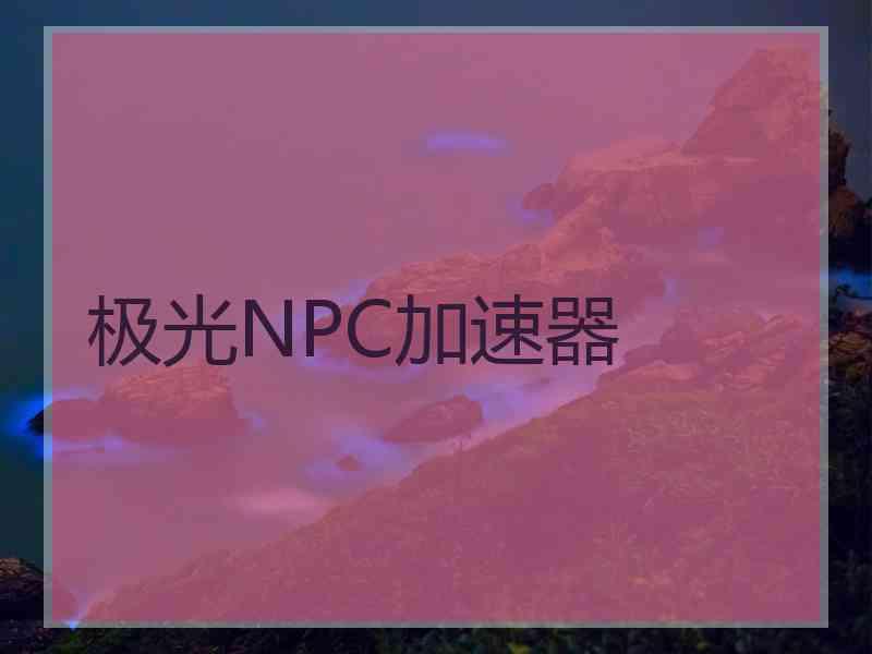 极光NPC加速器