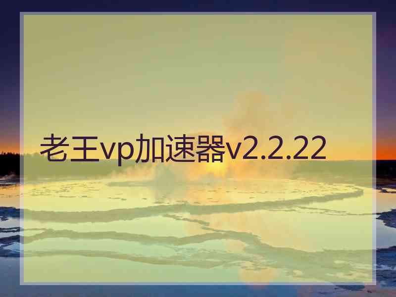 老王vp加速器v2.2.22