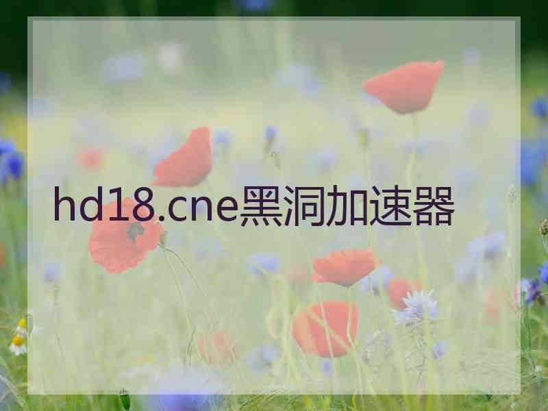 hd18.cne黑洞加速器