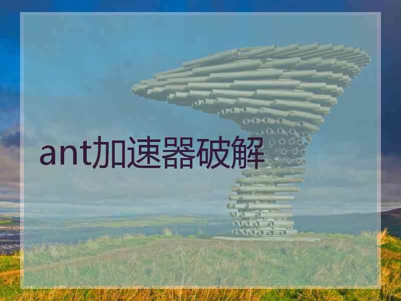 ant加速器破解