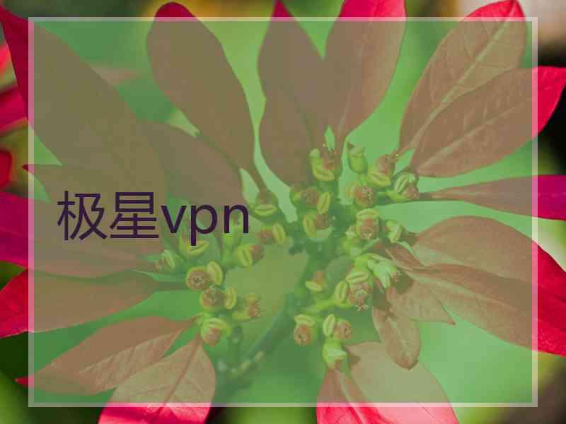 极星vpn