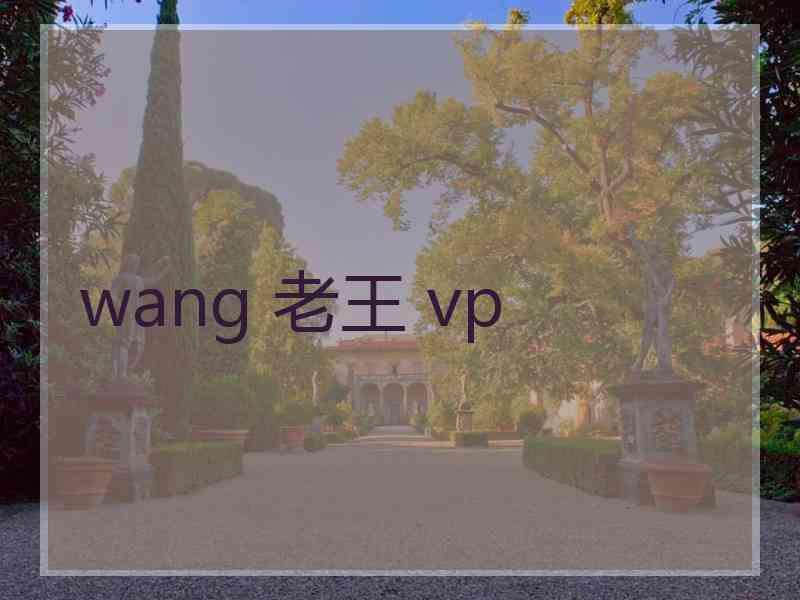 wang 老王 vp