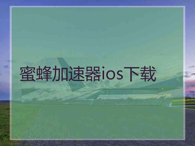 蜜蜂加速器ios下载