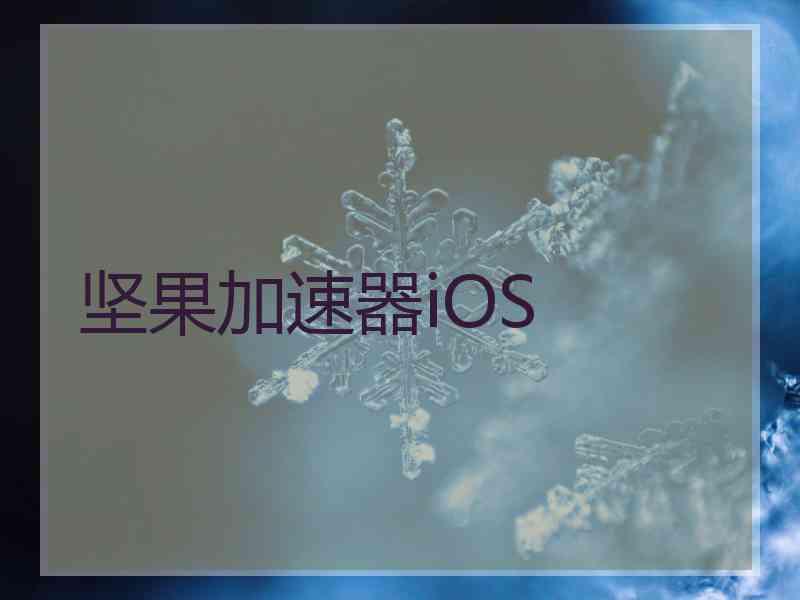 坚果加速器iOS