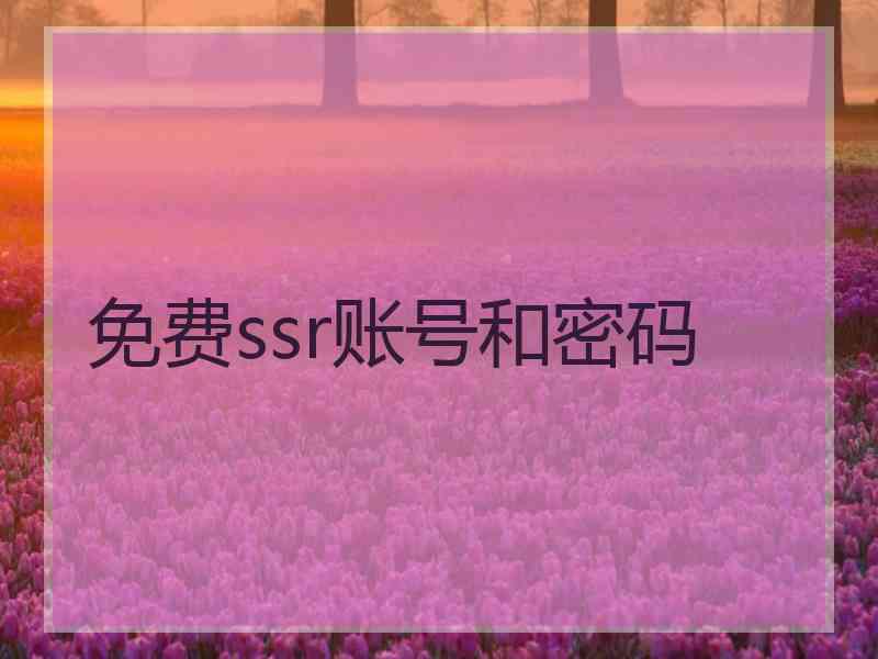 免费ssr账号和密码