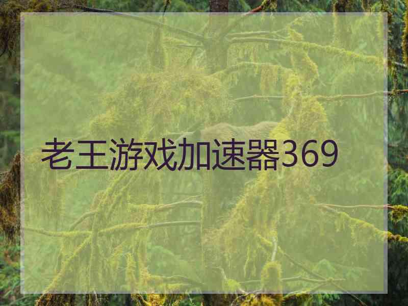 老王游戏加速器369