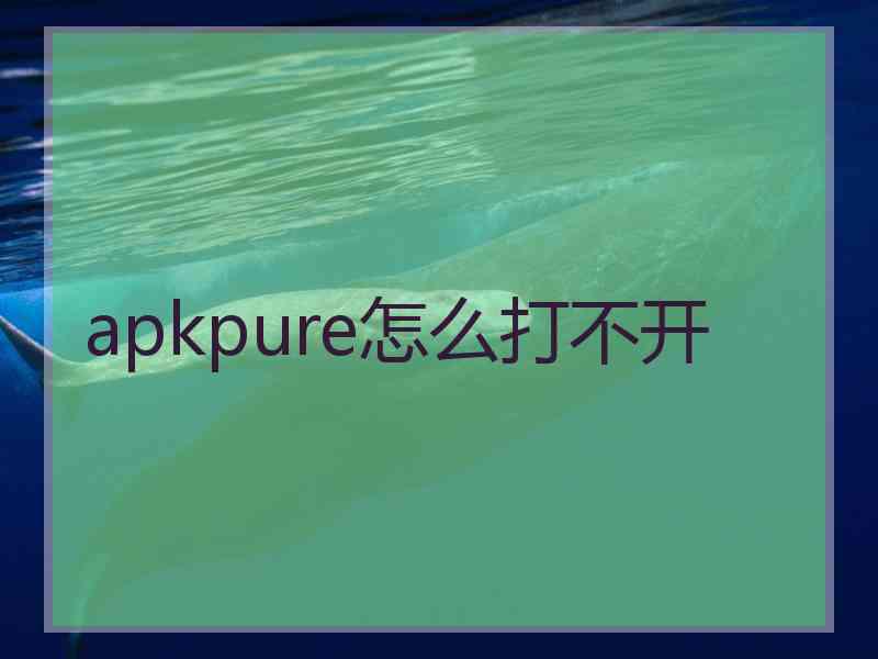 apkpure怎么打不开