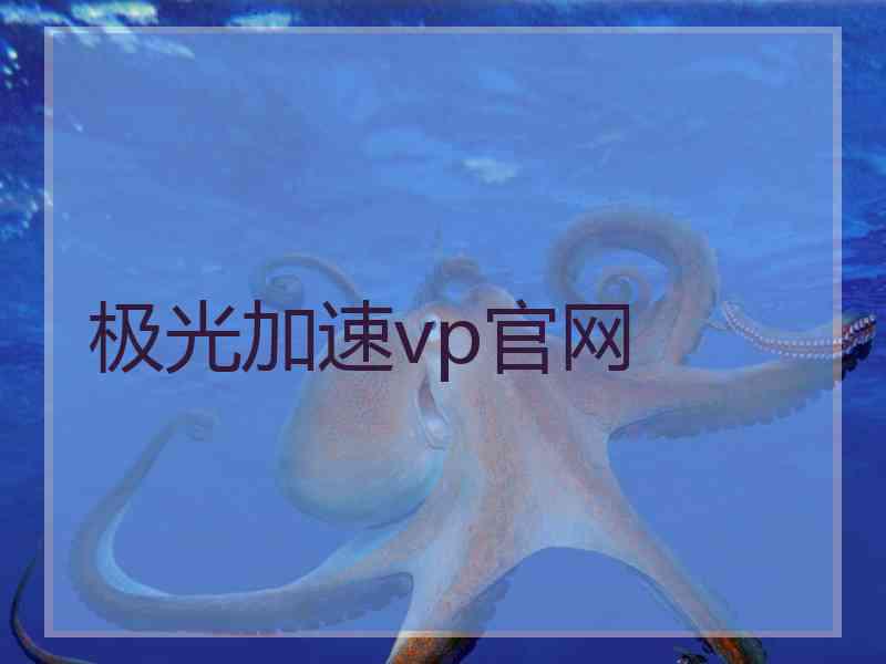 极光加速vp官网