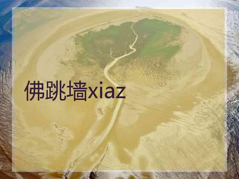 佛跳墙xiaz