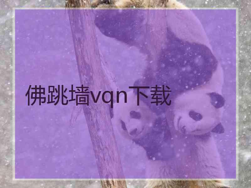 佛跳墙vqn下载