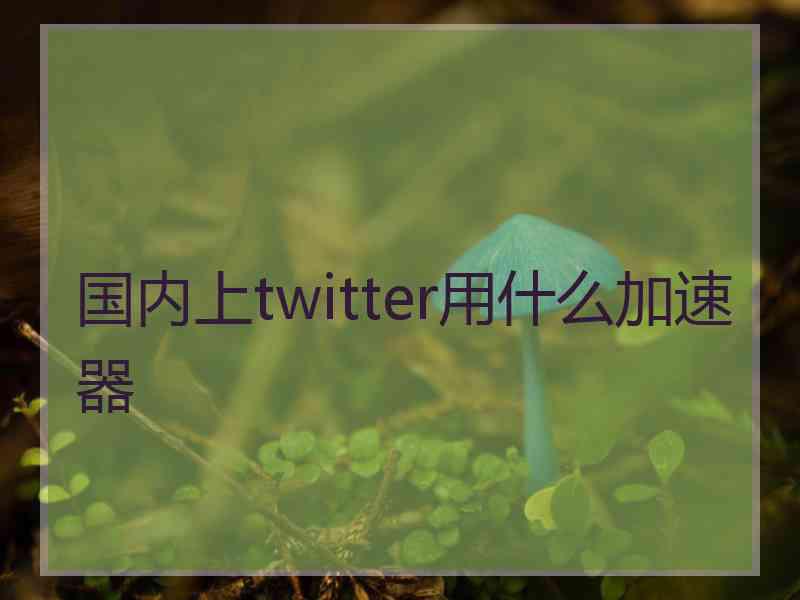 国内上twitter用什么加速器