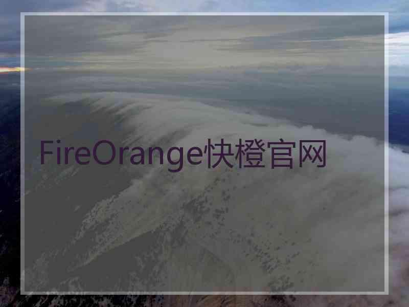 FireOrange快橙官网