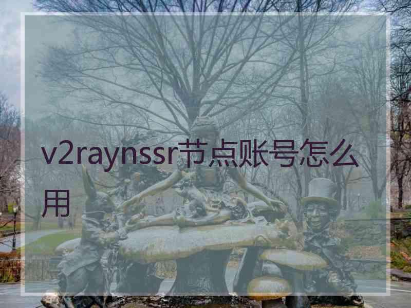 v2raynssr节点账号怎么用