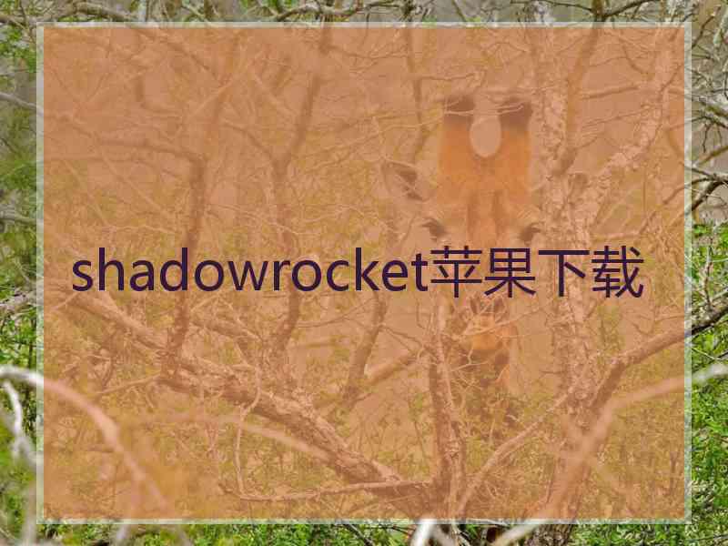 shadowrocket苹果下载