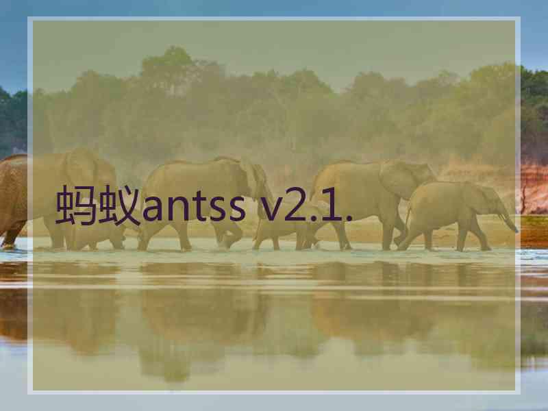 蚂蚁antss v2.1.