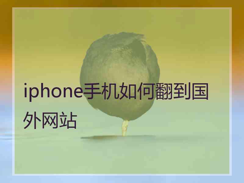 iphone手机如何翻到国外网站