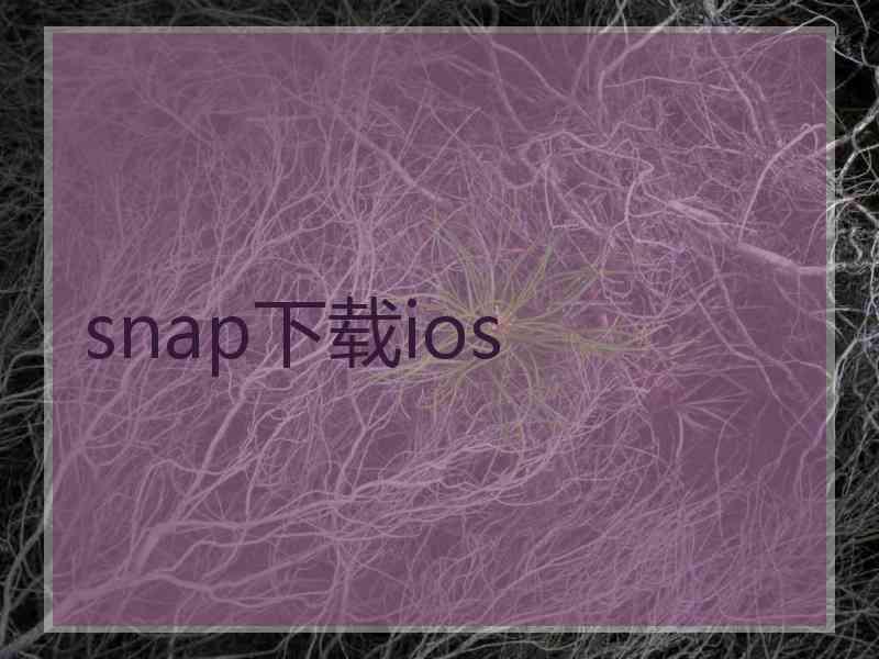 snap下载ios