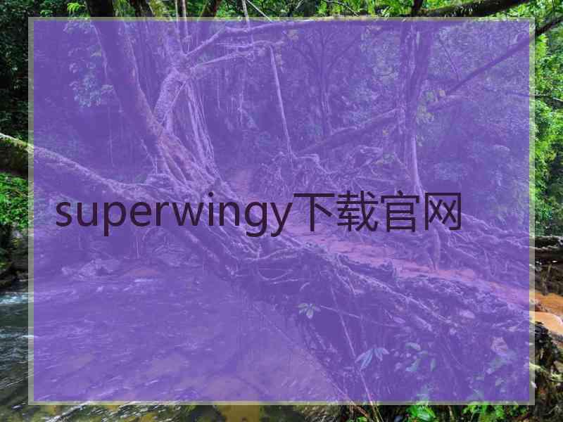 superwingy下载官网