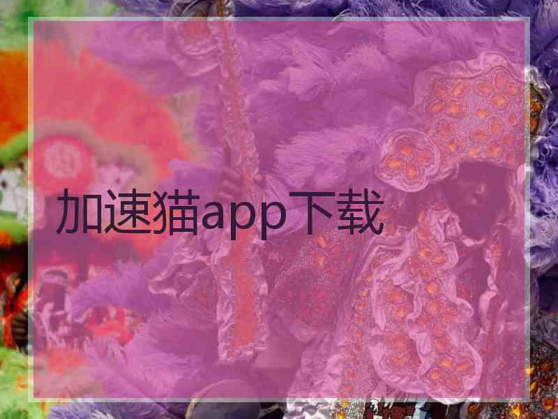 加速猫app下载