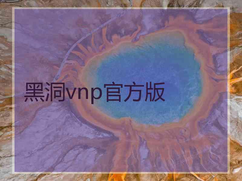 黑洞vnp官方版