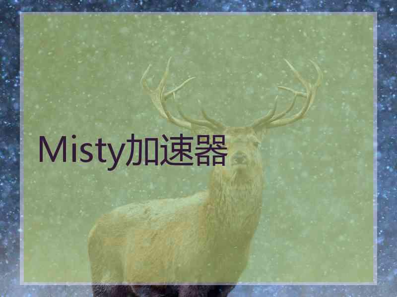 Misty加速器