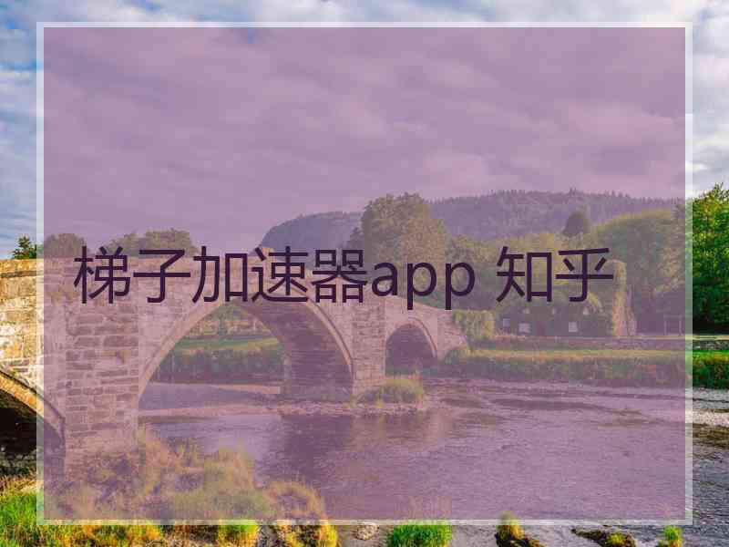 梯子加速器app 知乎