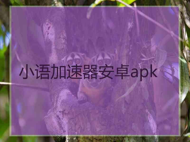 小语加速器安卓apk