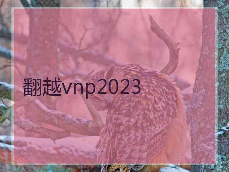 翻越vnp2023