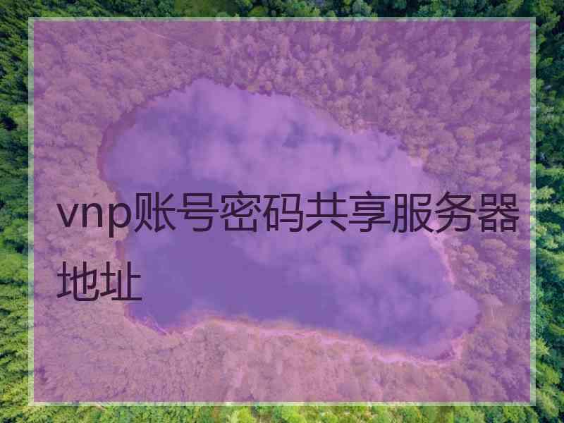 vnp账号密码共享服务器地址