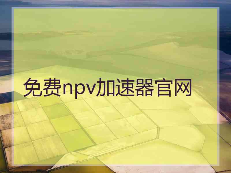 免费npv加速器官网