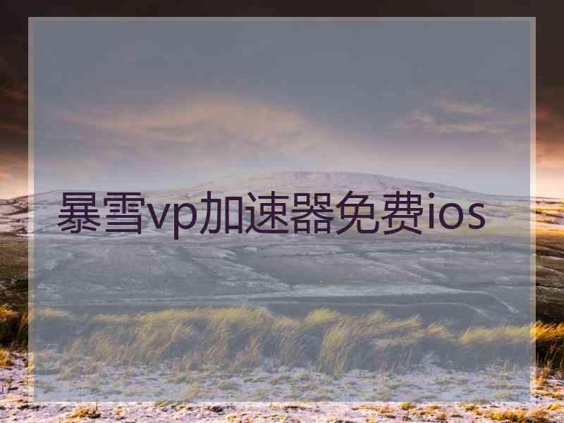 暴雪vp加速器免费ios